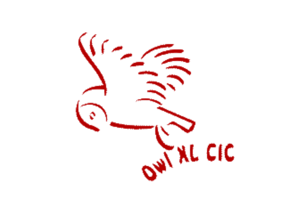 owl xl cic logo