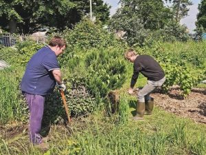 Allotment-2024