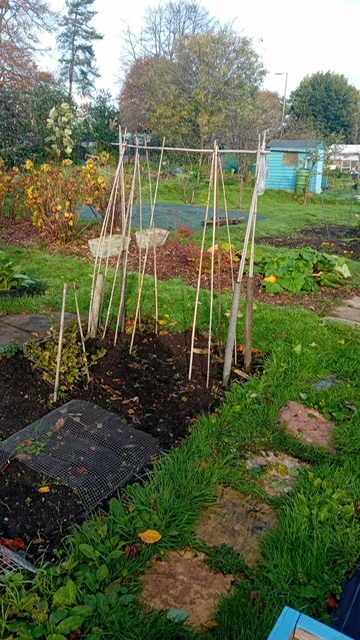 Our allotment 2 2026