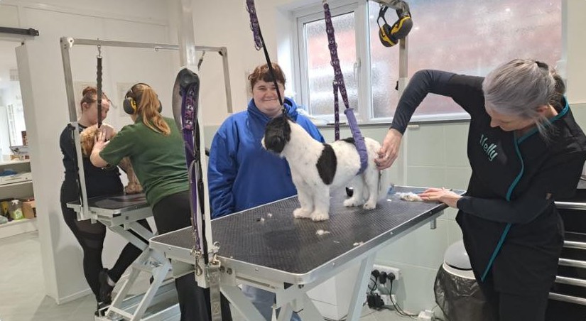 WEXi at Nelly's Woofer’s & Groomers Fareham