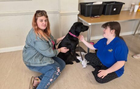 Dog Petting Dog Petting